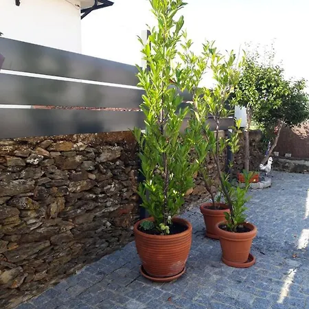 Rural Casa Da Eira * Murça