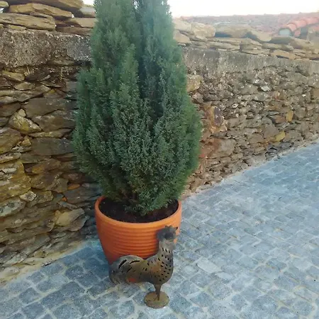 Prázdninový dům Rural Casa Da Eira *