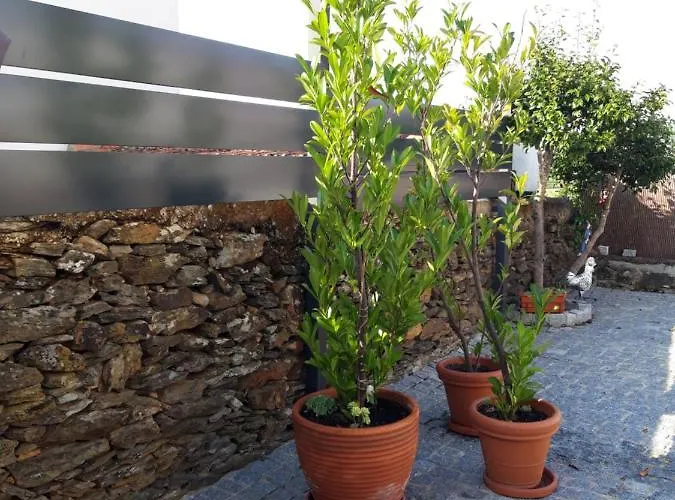 Rural Casa Da Eira * Murça