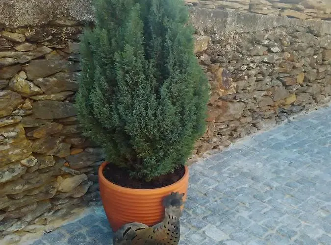 Vakantiehuis Rural Casa Da Eira *